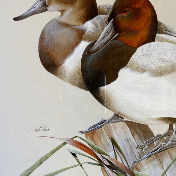 Art La May 3x framed prints with glass: Water Pair, Green Winged, Canvas Back. - Picture 3 of 16